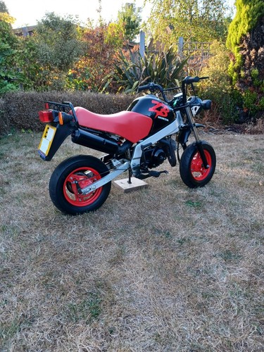 Honda zb50 zb50p monkeybike - zb50,