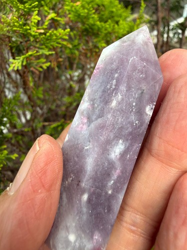 Lepidolite with rubilite