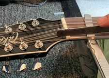 MusicianAtHeart Unbleached