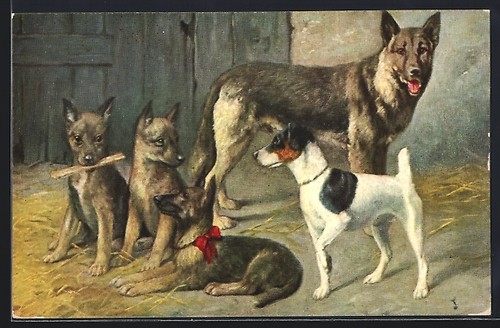 German shepherd with puppies - german,