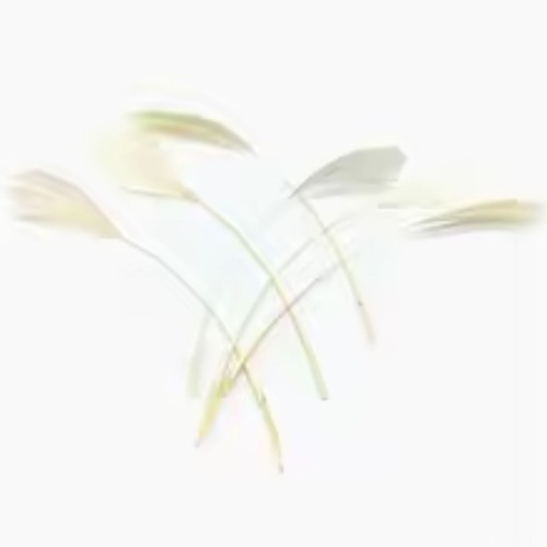 20pcs goose feathers - 20pcs,