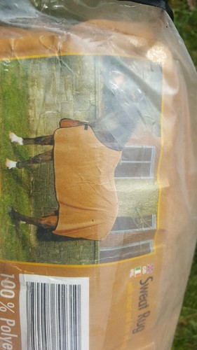 Beige horse sweat rug - horse,