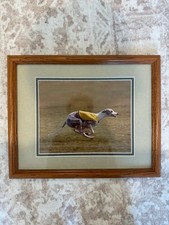 Vintage framed racing whippet - racing,