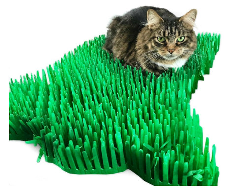 Premium green tissue paper - premium,