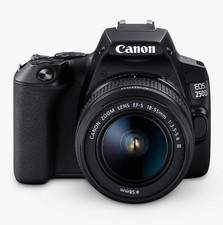 Canon EOS 250D Digital SLR