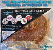 KING RAGWORM SEA FISHING LURES SUSPENDED IN NATURAL FLAVOURED ATTRACTOR ( X5 )