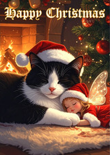 NAUGHTY CHRISTMAS FAIRY CARD - THE CAT NAP - XMAS FAIRY WITH A BLACK & WHITE CAT