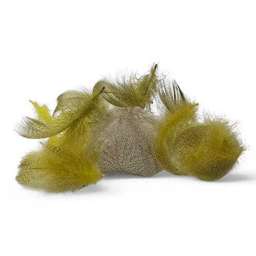 Kindale mallard duck - kindale,