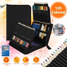 145PCS Professional Artist