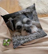 Lovely Printed Schnauzer