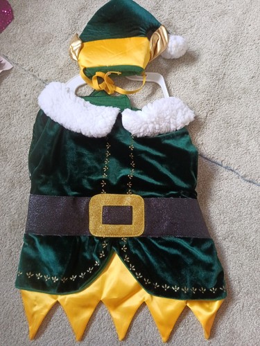 Pet christmas elf - christmas, santa