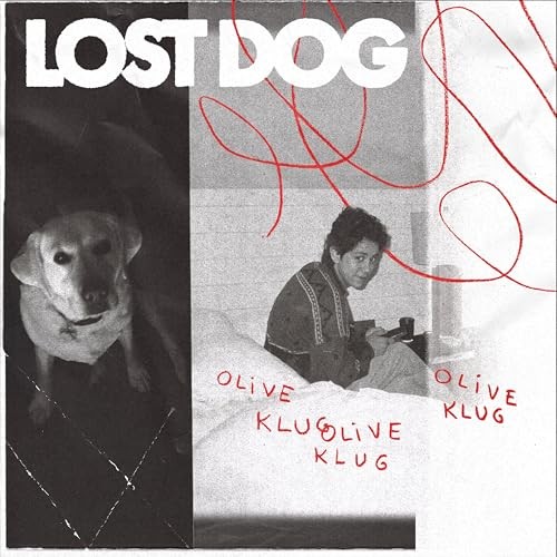 Various lost dog - -,