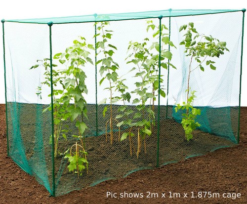 875m high fruit veg - high, cage