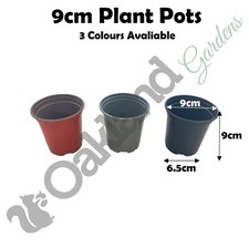 Plant pots 9cm 5cm - pots, 10.5cm