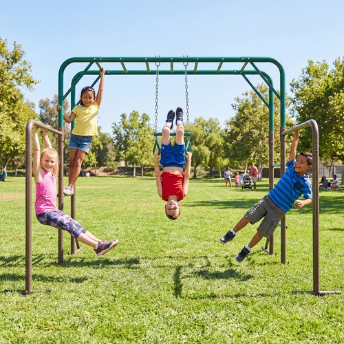 Monkey bars jungle - monkey,