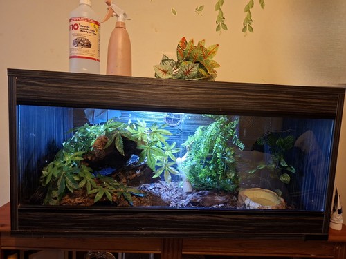 Reptile vivarium with - with, all