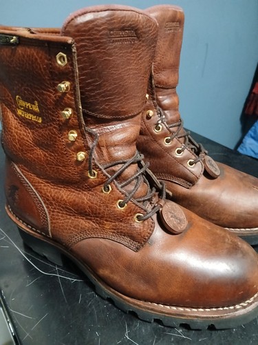 Brownchippewa paladin