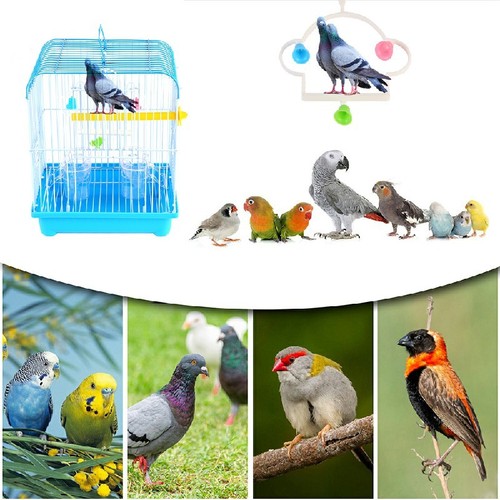 Small bird cages 22cm - cages, 27cm