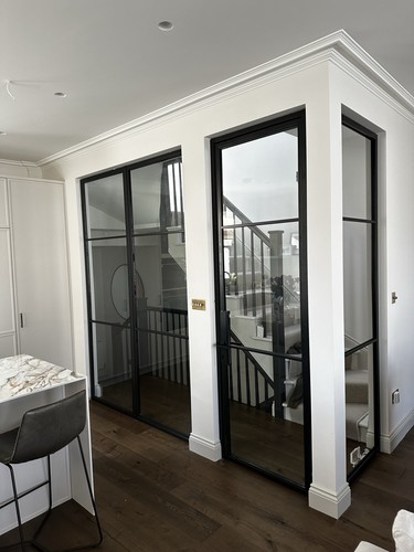 Steel crittal style - crittal, door