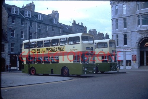 35mm slide 1981 - grampian, bus