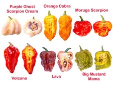 Worlds HOTTEST Chilli - 30