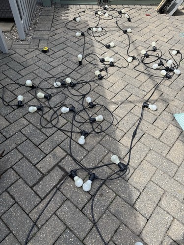 Festoon event lighting - festoon,