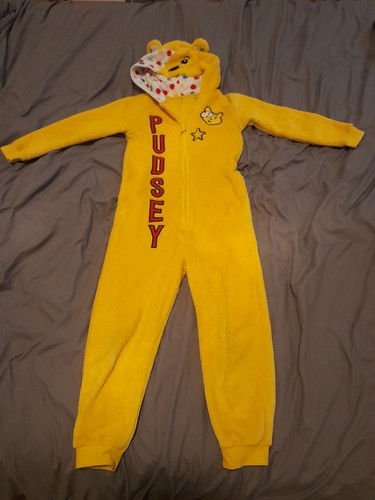 Asda george pudsey - george, bear