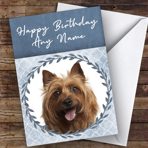Australian terrier dog blue - australian,