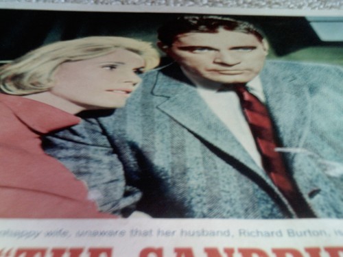 Sandpiper eva marie saint - marie,