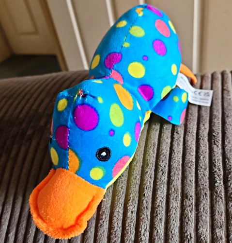 Plush duck soft - duck, toy