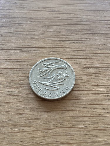 2013 wales daffodil and leek - 2013,