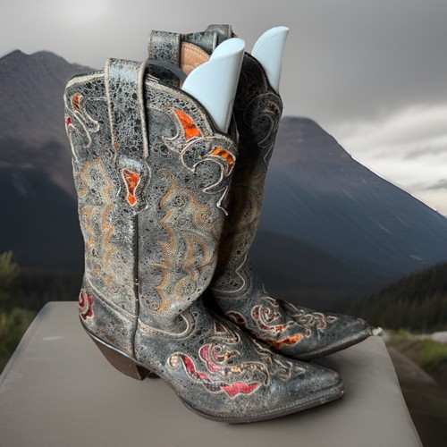 Stetson distressed python - stetson,