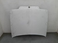 hood  for RENAULT 19