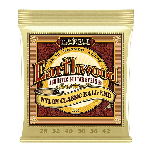 Ernie ball earthwood folk - ernie,