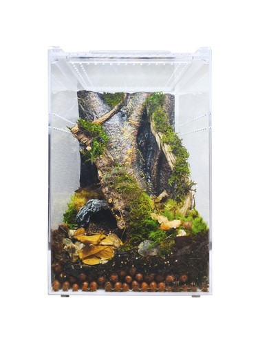 Herpcult acrylic reptile - herpcult,