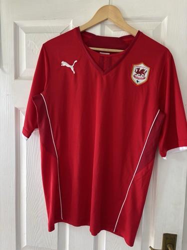 Cardiff city football - cardiff,