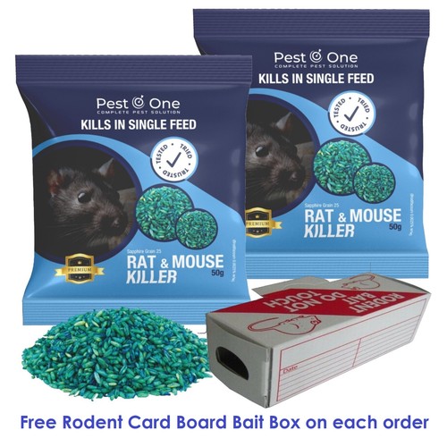 Professional rodent poison rat - rodent,