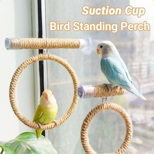 Suction cup bird toy swing - suction,