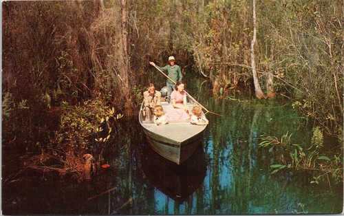 Waycross okefenokee swamp - waycross, ga