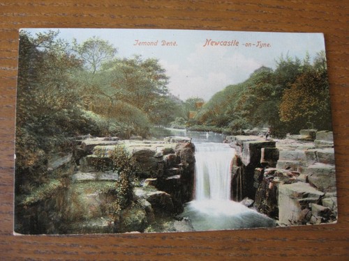 Jesmond dene - jesmond,