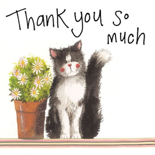 Alex clark cat - cat, card,