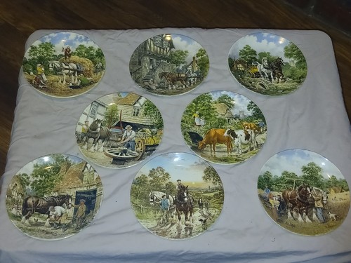 Wedgwood plates 1980 limited - plates,