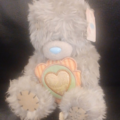 You tatty teddy grey - you,