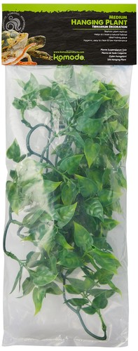 Komodo philodendron plant cage - plant,