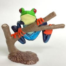 Colorata Tropical Rain Forest