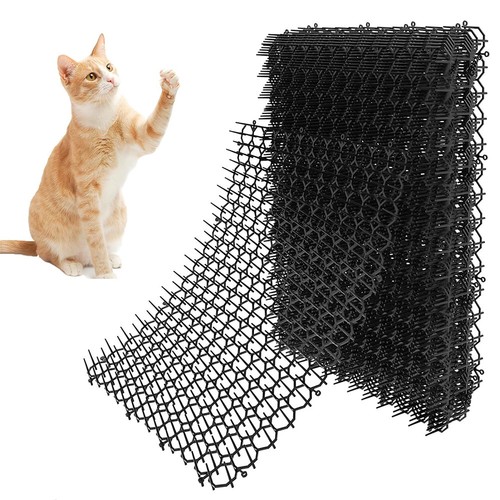 10xcat scat spike garden - spike,