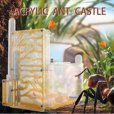 Ant House Ant Farm With Feeding Area Acryl Ant Moisture Nest Insect Villa DIY UK
