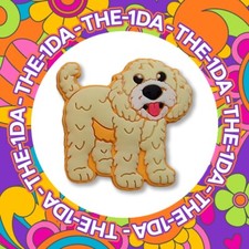 Super Cute Large Cockapoo