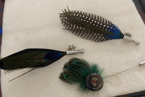 Feather hat pin and - hat,