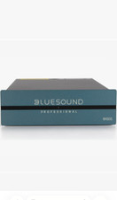 Bluesound Professional B100S 1